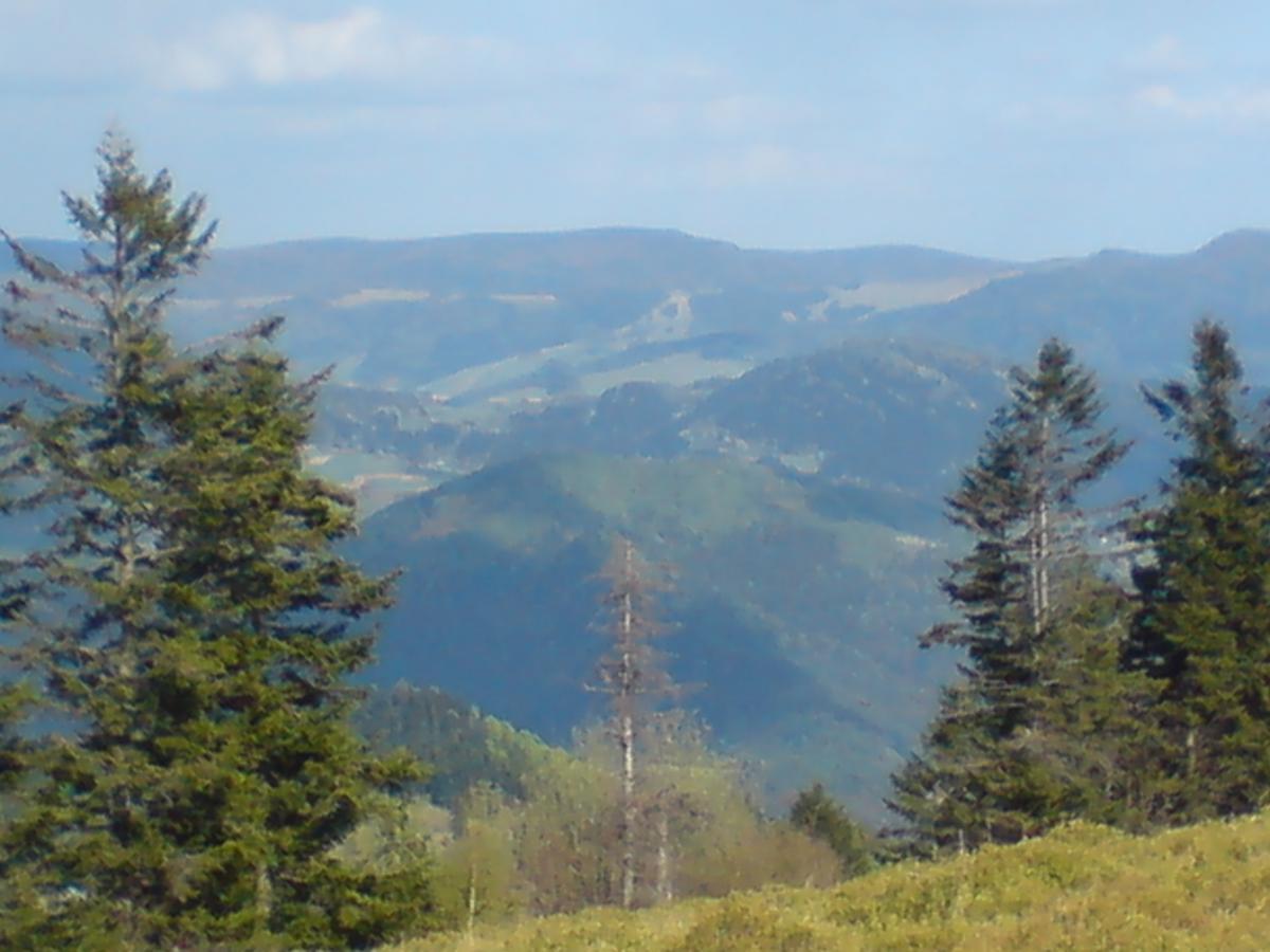 Willa Pod Kasztanami Piwniczna-Zdroj Luaran gambar